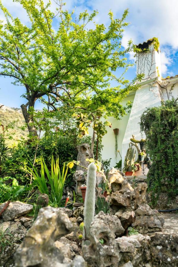 Los Cactus El Gastor Eksteriør bilde